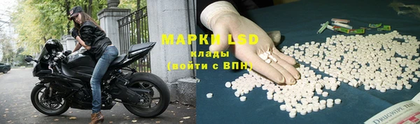 шишки Елабуга