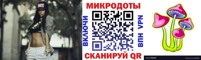 мориарти клад  Сясьстрой  Галлюциногенные грибы прущие грибы  где найти наркотики 